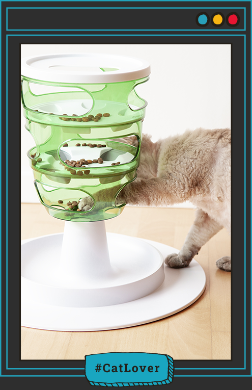  juegos de comida para gatos